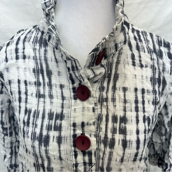 TERRA by SJ Apparel blouse with eclectic details. - Picture 7 of 10